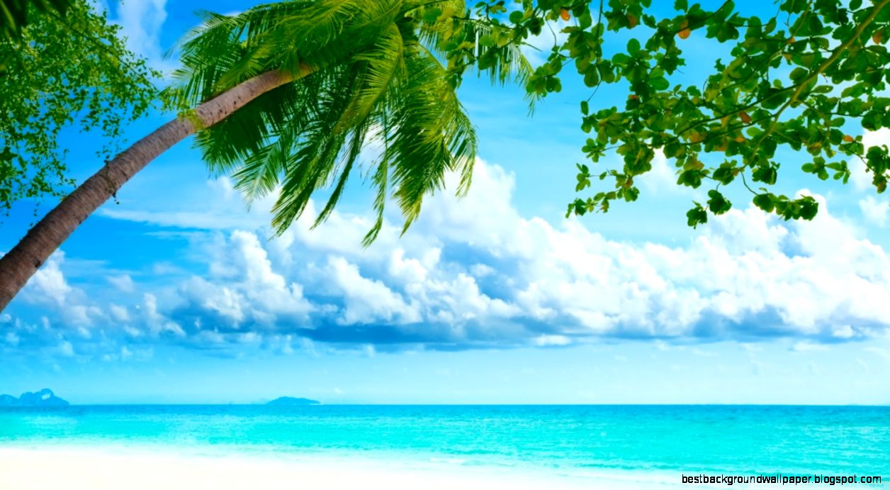Tropical Beach Resorts HD desktop wallpaper  Widescreen  High Tropical Beach Resorts HD desktop wallpaper  Widescreen  High