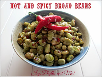 HOT AND SPICY BROAD BEANS