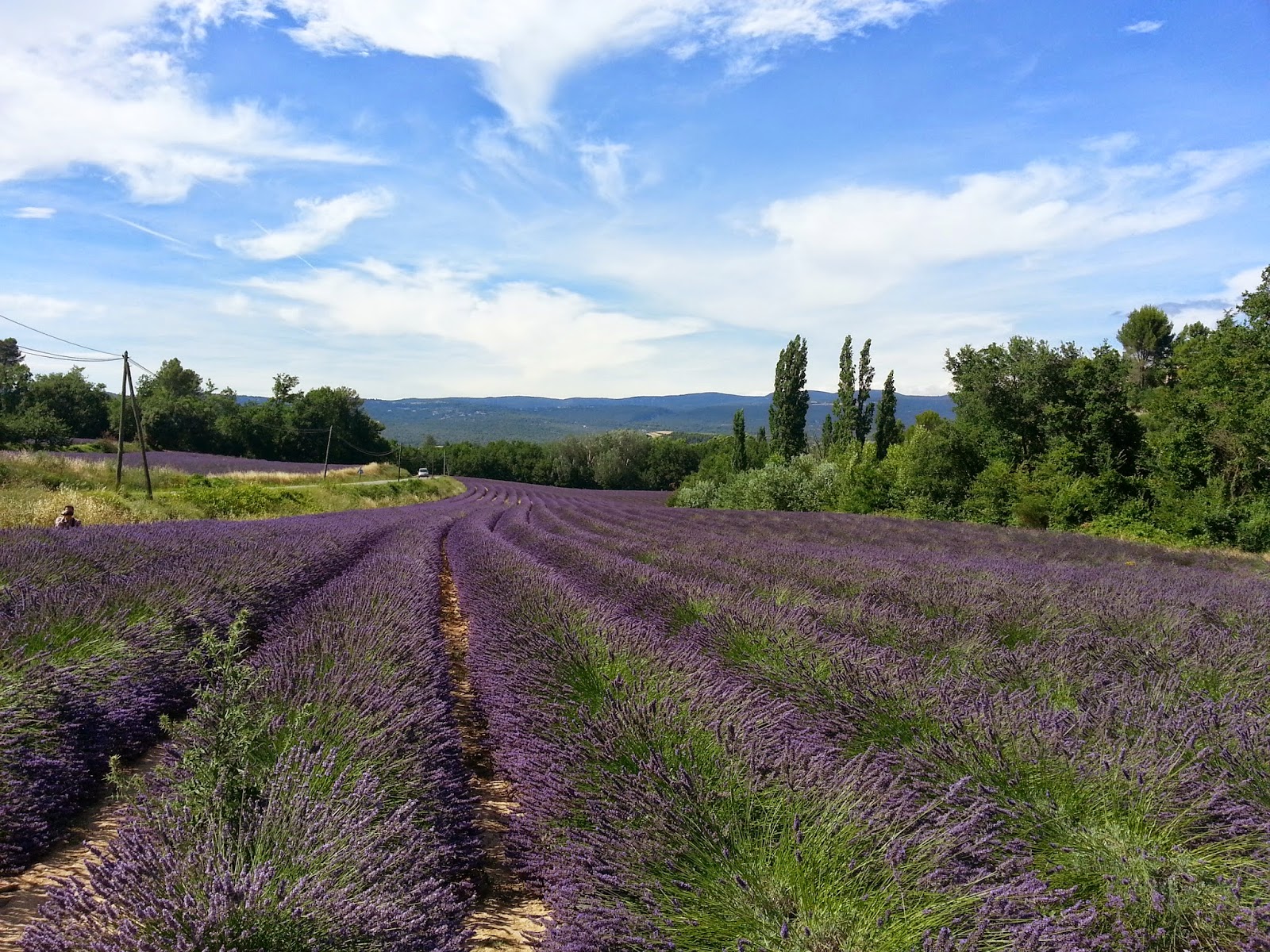 Saint Remy de Provence and Around Lavender time in Provence