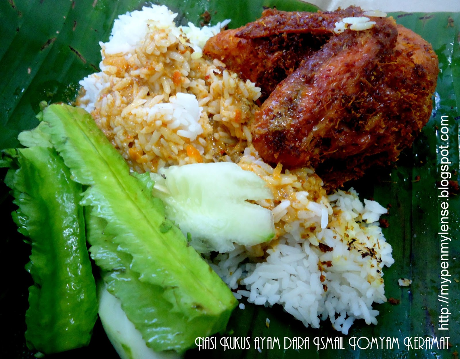 Pena Lensa Nasi Kukus Ayam Dara