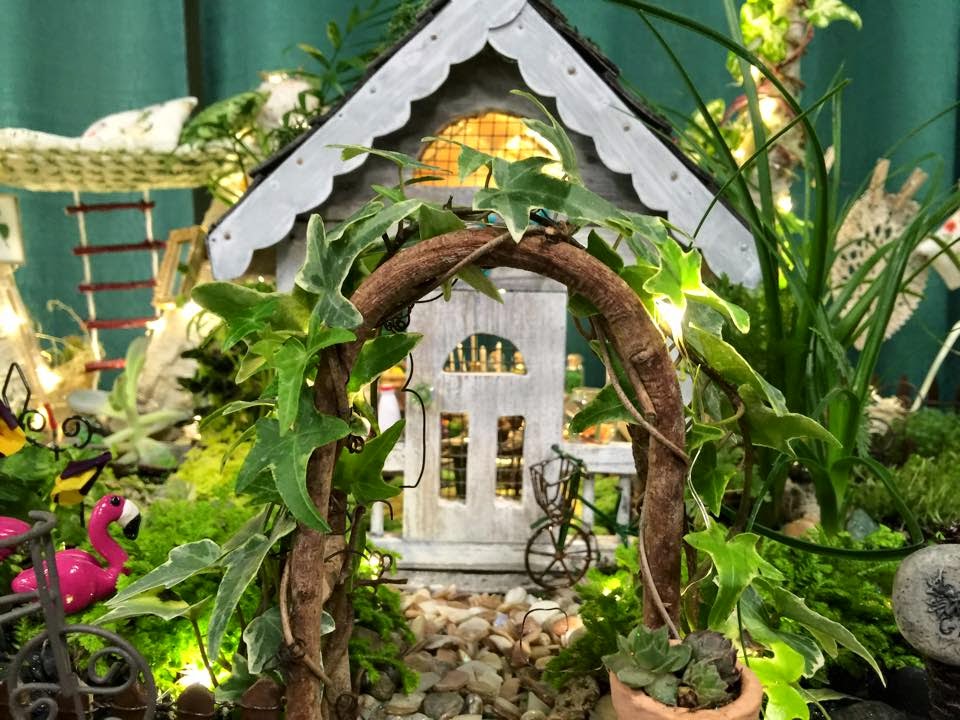 Boise Daily Photo Delightful Fairy Garden