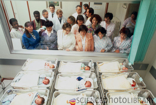 M8150256-Nurses_with_newborn_babies_in_a_hospital_nursery-SPL.jpg