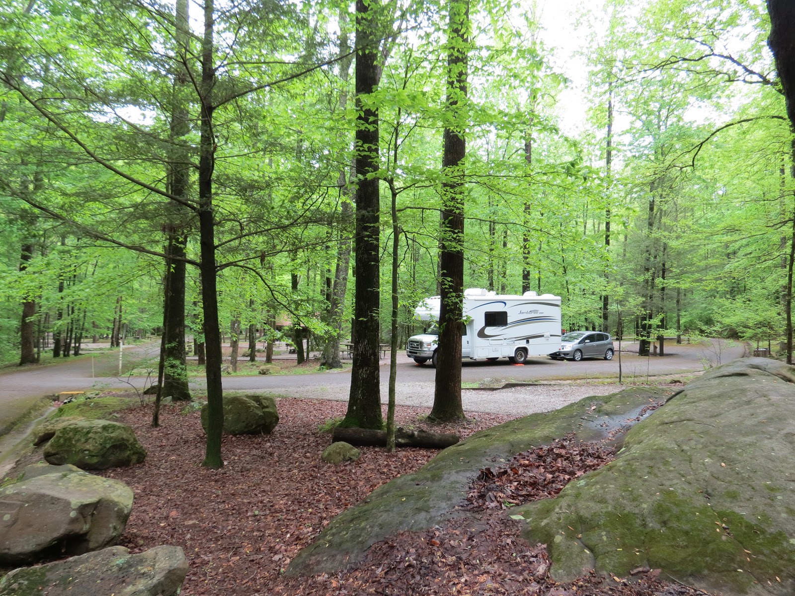 Where's Liz2013? Frozen Head State Park, TN