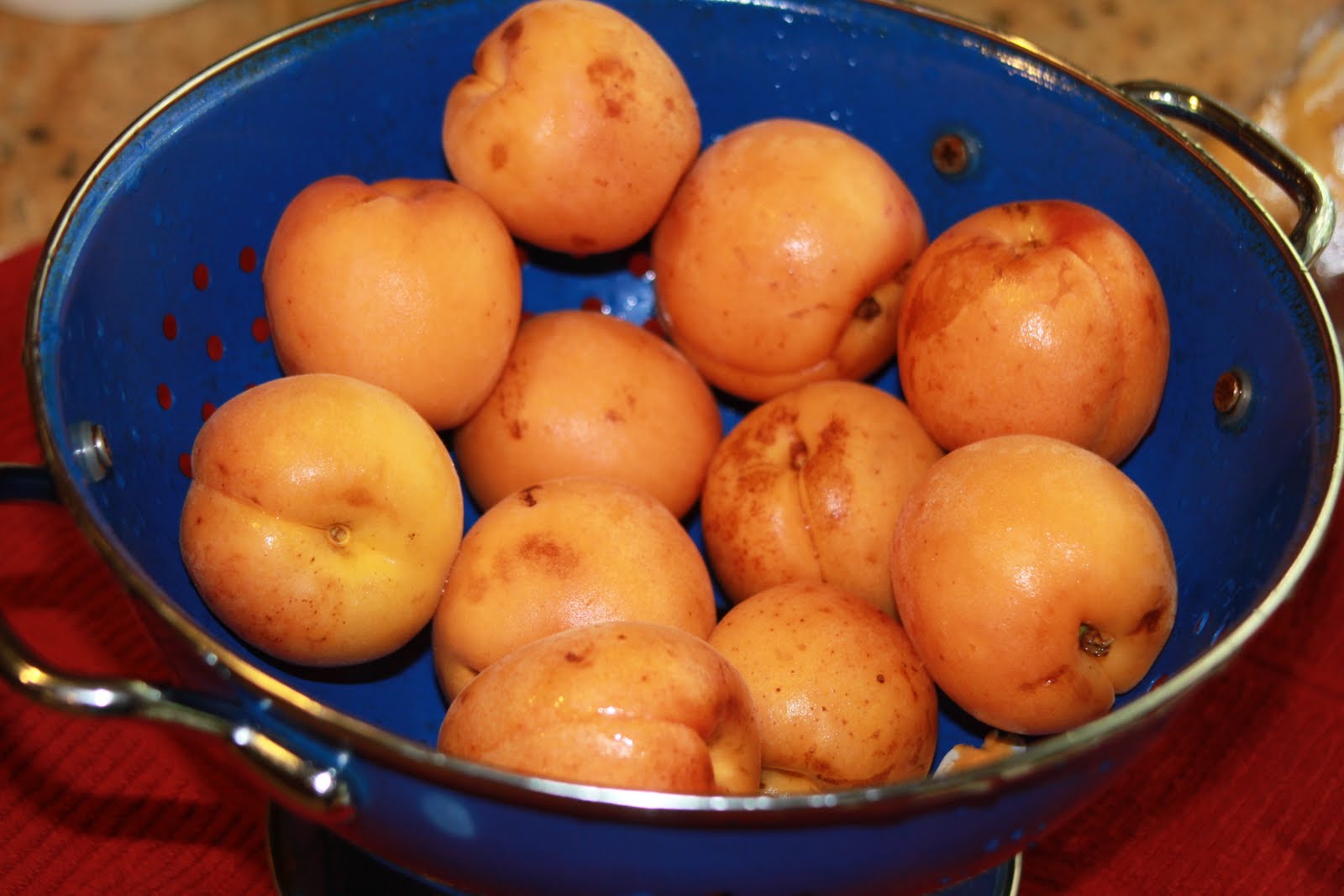 cooking out of the box apricot syrup
