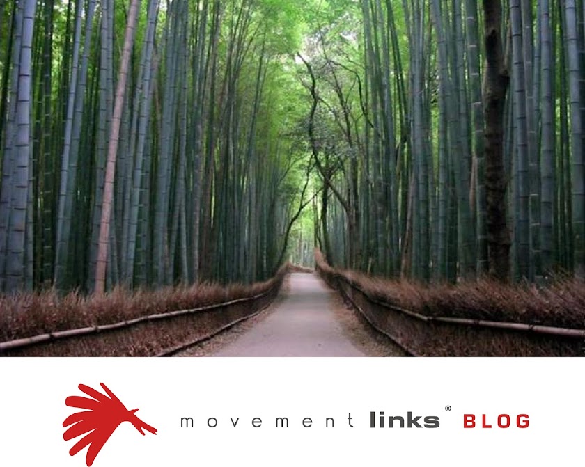 Movement Links Blog