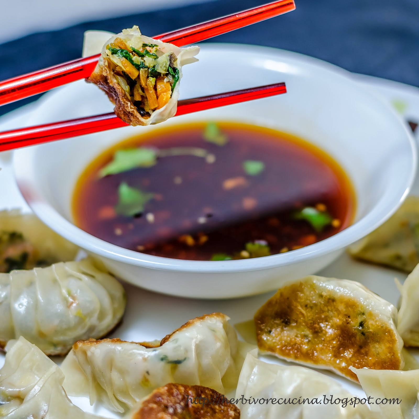 Herbivore Cucina Pan Fried Vegetable Dumplings