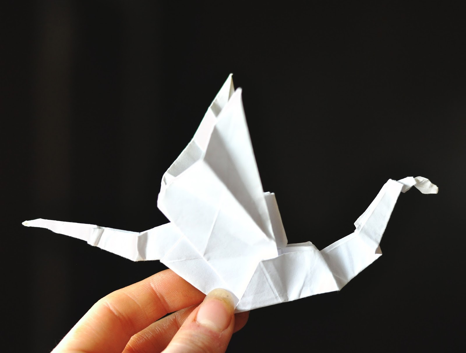 Zauberbear 13 Important Things to Know How to Fold