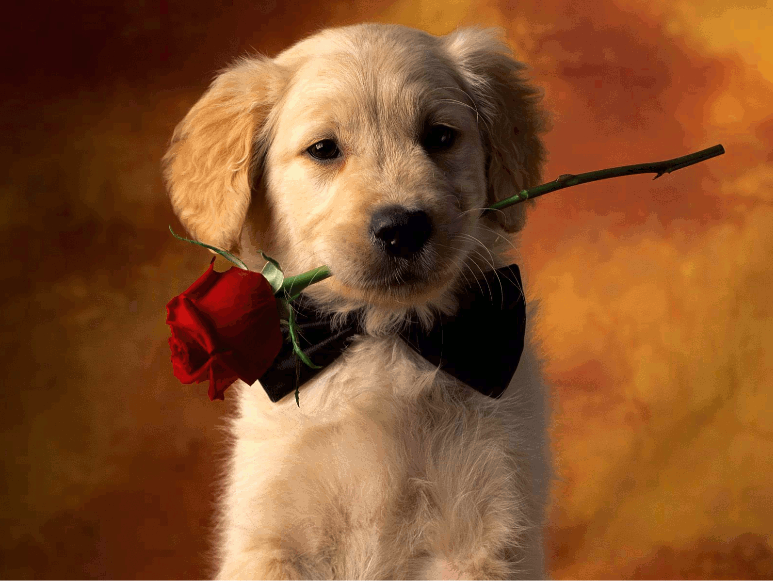 How to Make an Interesting Art Piece Using Tree Branches eHow Cute