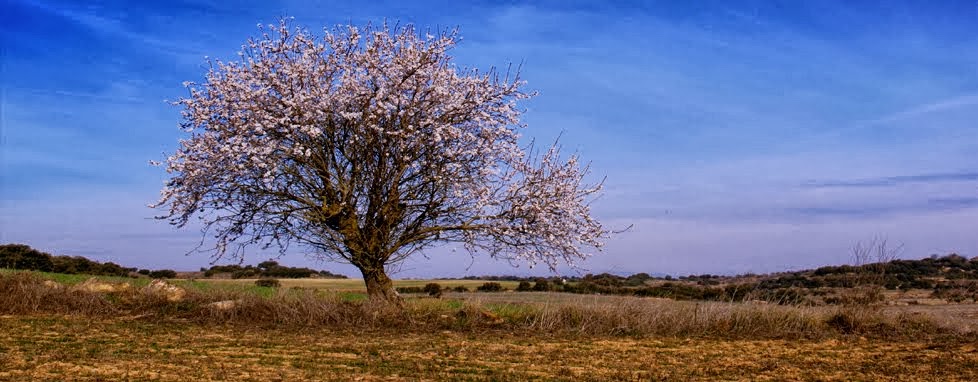 LES GARRIGUES - Catalunya