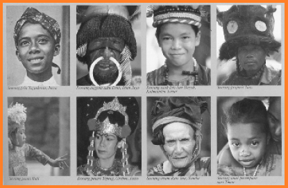 Ras dan Suku Bangsa di Indonesia | Asal Usul Nenek Moyang Indonesia