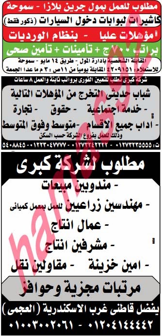 وظائف خالية من جريدة الوسيط الاسكندرية الجمعة 08-11-2013 %D9%88+%D8%B3+%D8%B3+5