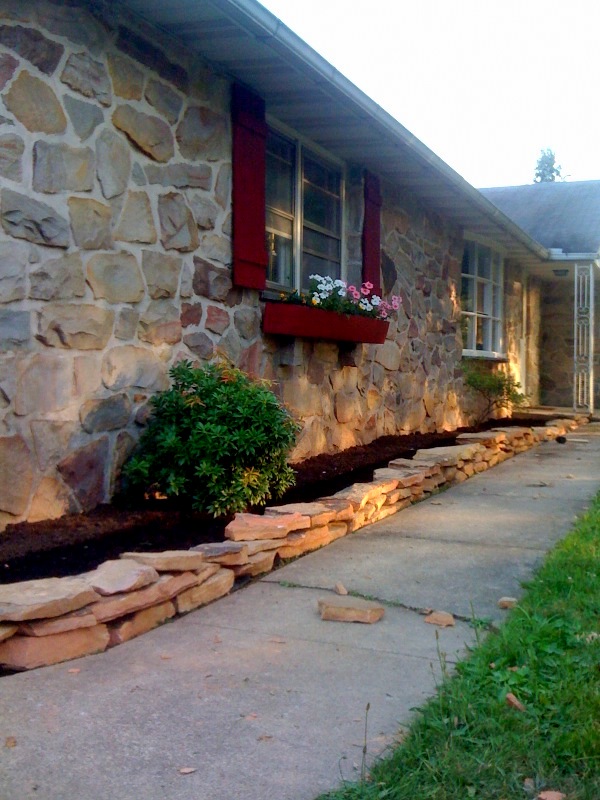 lilies on the bay "The future is no place to place your better days" DMB