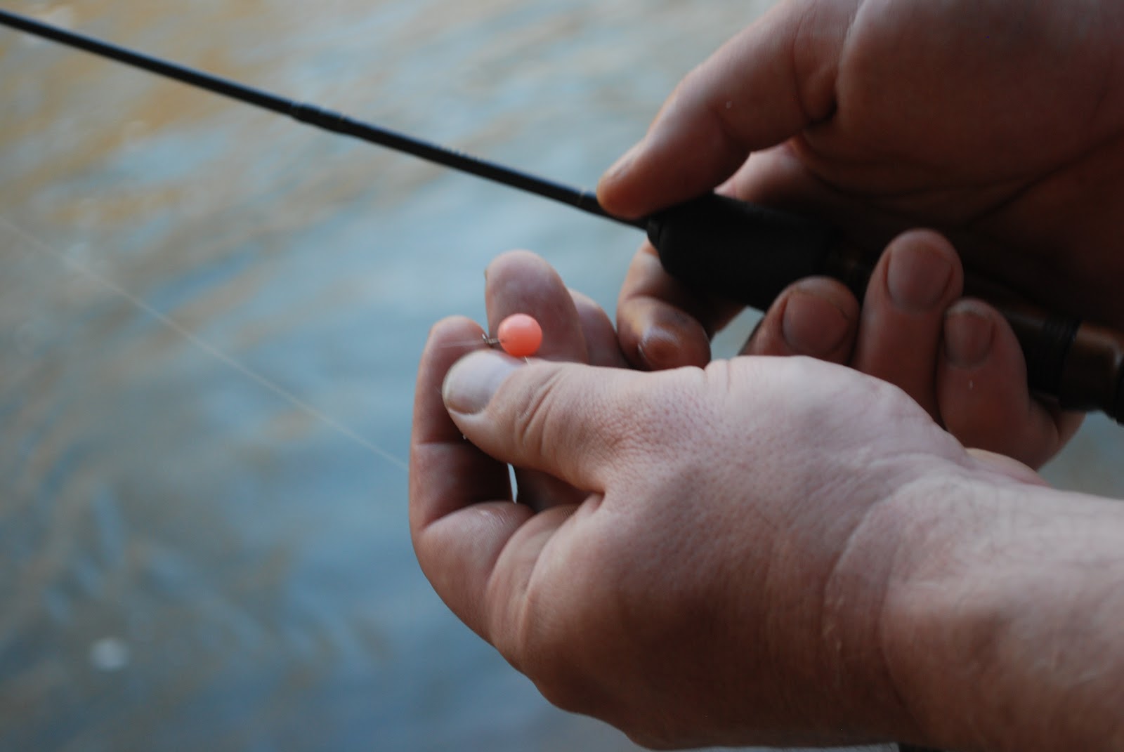 Litton's Fishing Lines Fishing Salmon Eggs For Rainbow Trout, Brook Trout
