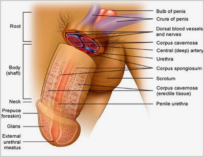 NEOSIZE XL OBAT PEMBESAR PENIS HERBAL NEOSIZE XL ORIGINAL, obat pembesar penis herbal, obat pembesar penis alami, obat pembesar penis ampuh, obat pembesar penis permanen, neosize xl, obat pembesar penis neosize xl, jual neosize xl, obat neosize xl, neosize xl pembesar penis, obat pembesar penis, neo size xl, neosize, neosize xl reviews, neosize xl amazon, neosize xl price, pembesar neosize xl, agen neosize xl, agen neosize xl asli, agen pembesar penis