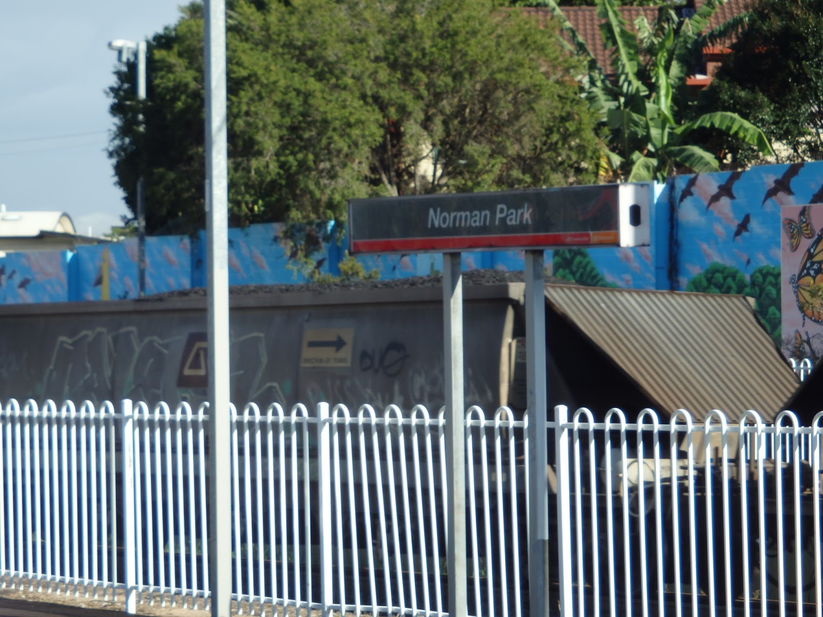 trainspotting norman park