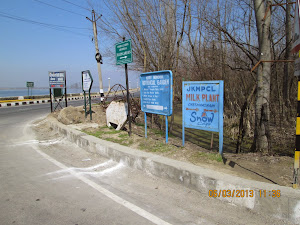 I had the longest walk of my life approx 10 Kms  along Dal Lake road.