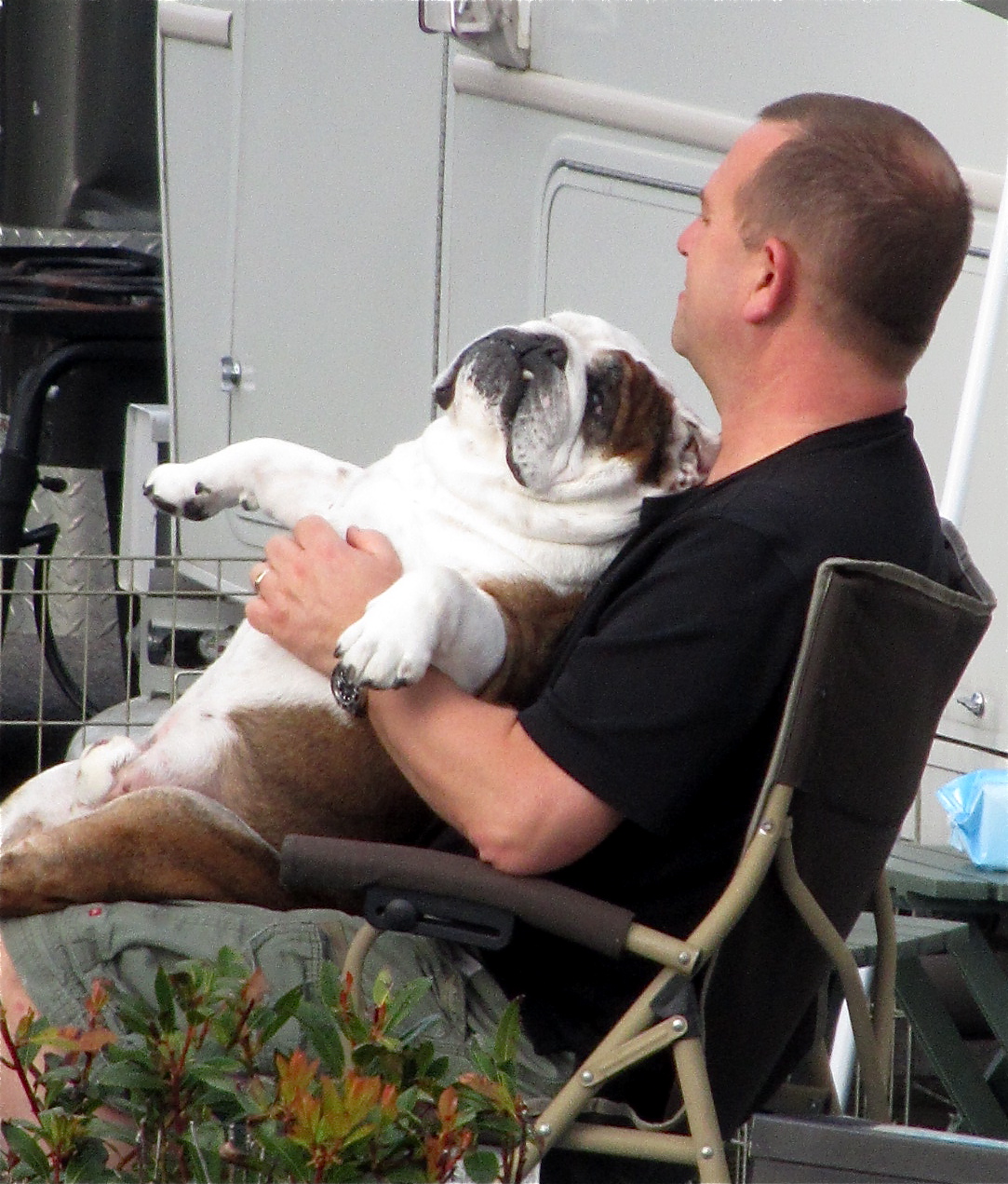 Travel With Whippets Winchester Bay, Oregon + Umpqua Lighthouse