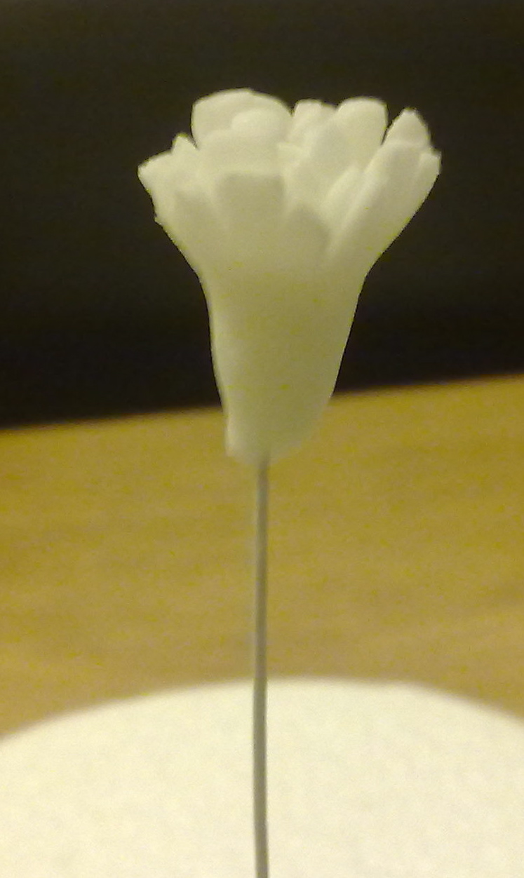 BakerLou How to make Sugar Carnations, stepbystep tutorial