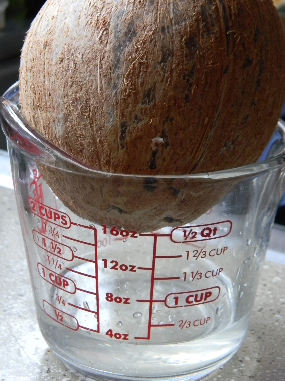 Handmade By Kristen Dried Coconut and Date Rolls