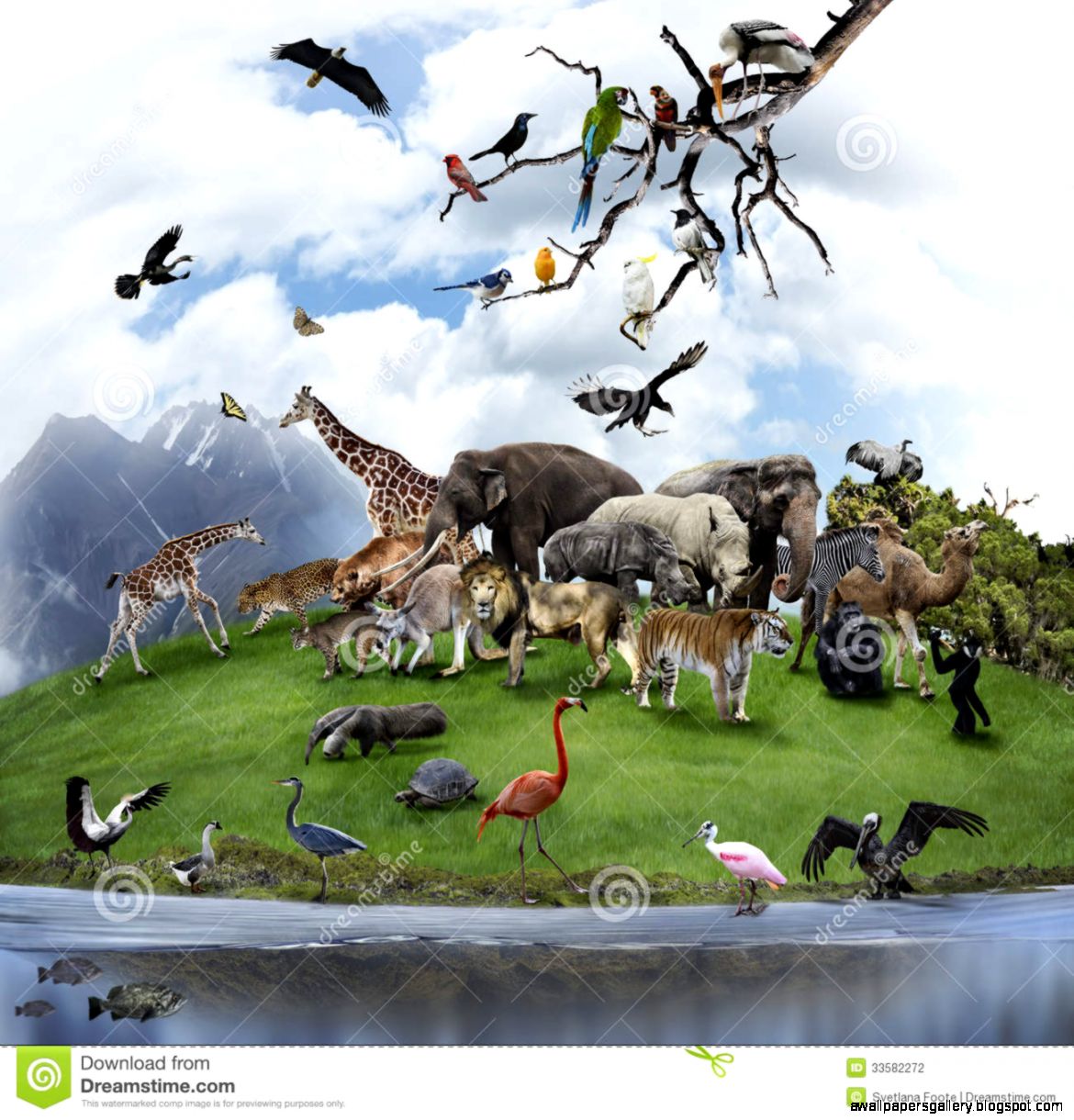 A Collage Of Wild Animals And Birds Stock Photography Image A Collage Of Wild Animals And Birds Stock Photography Image