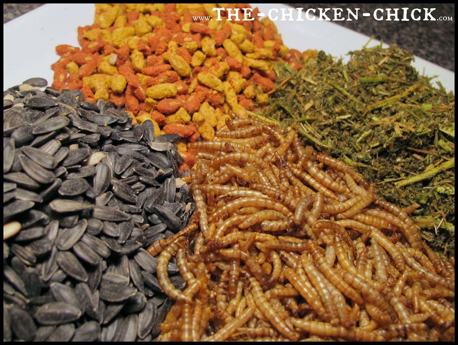 The Chicken Chick® Alfalfa Cake Protein Treat for Molting Chickens & Boredom Buster!