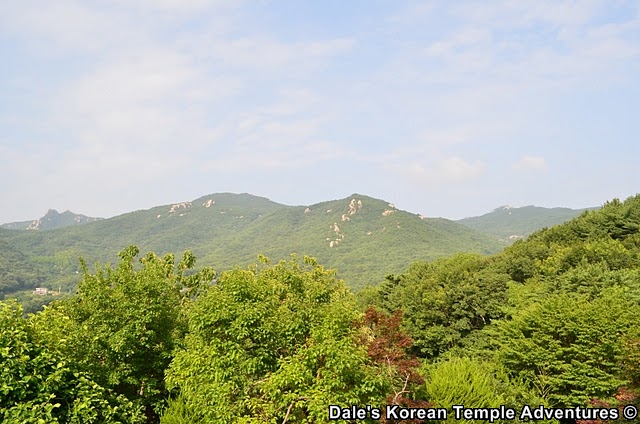Lacking Space There S A Hydrangea For That