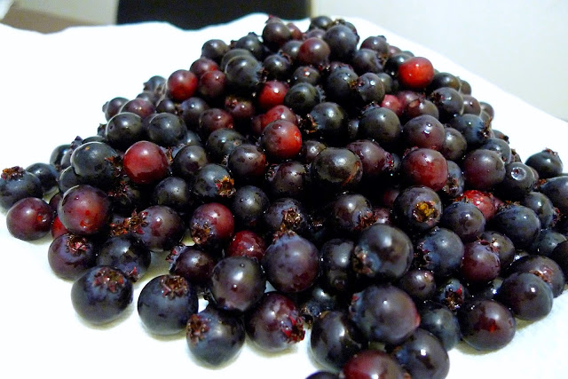 Serviceberries