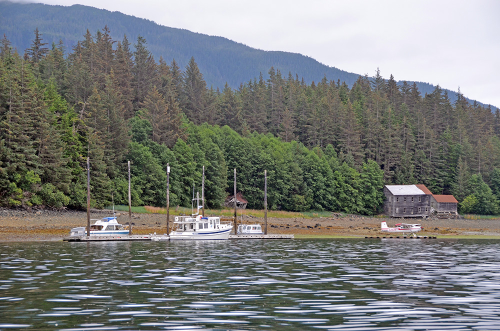 Safe Harbour Alaska 2016 Day 68 Barlow Cove to Funter Bay
