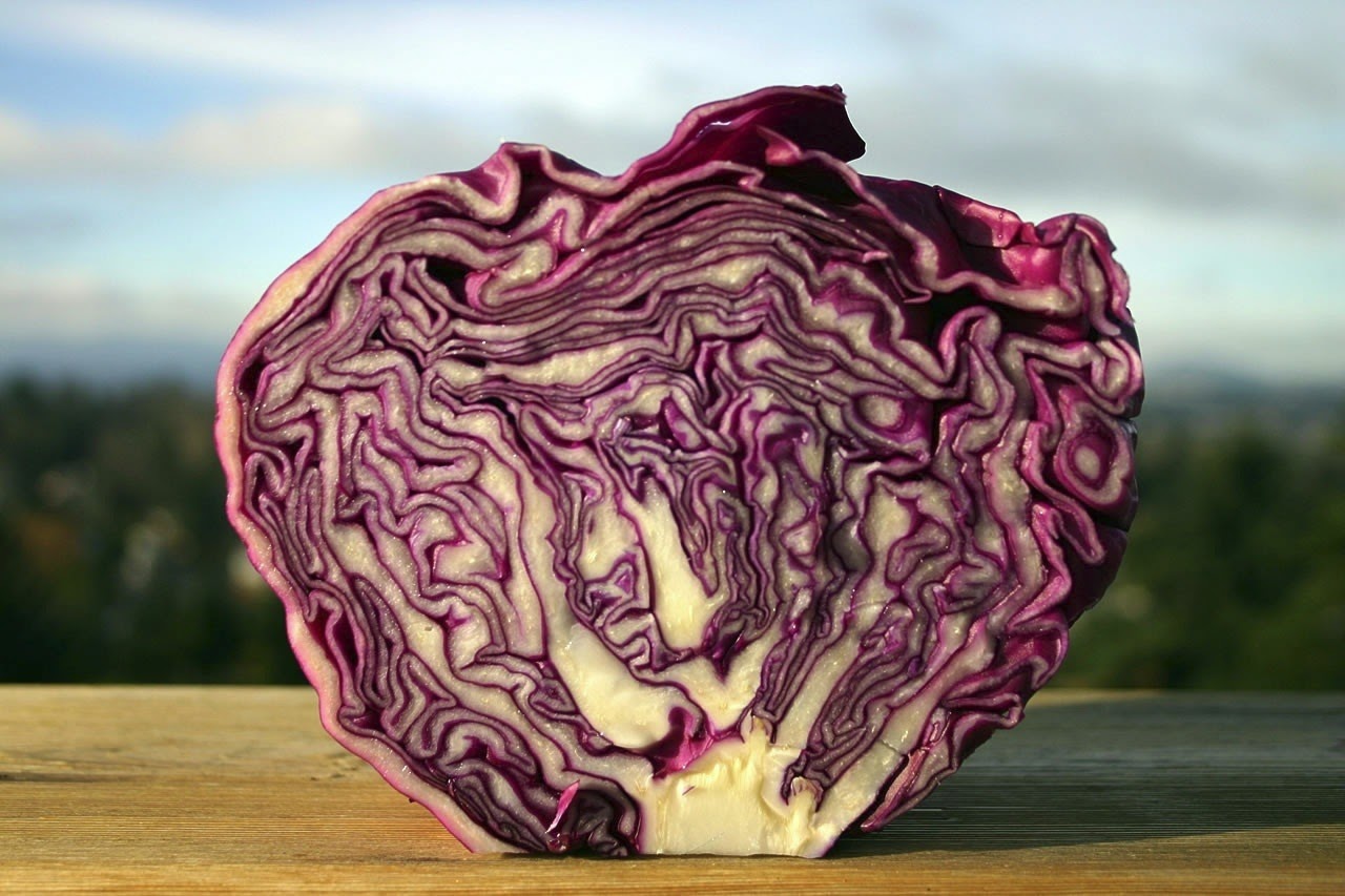 Jom Sains Science Experiment Ocean Acidification