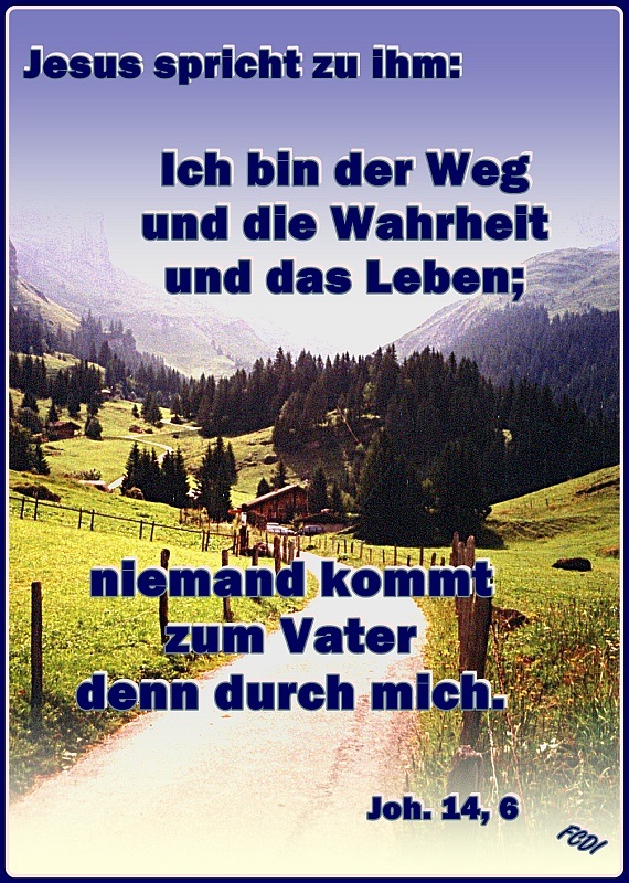 braut christi bibelstellen wichtige analysen von auslegungen der bibel heilige braut christi bibelstellen wichtige analysen von auslegungen der bibel heilige