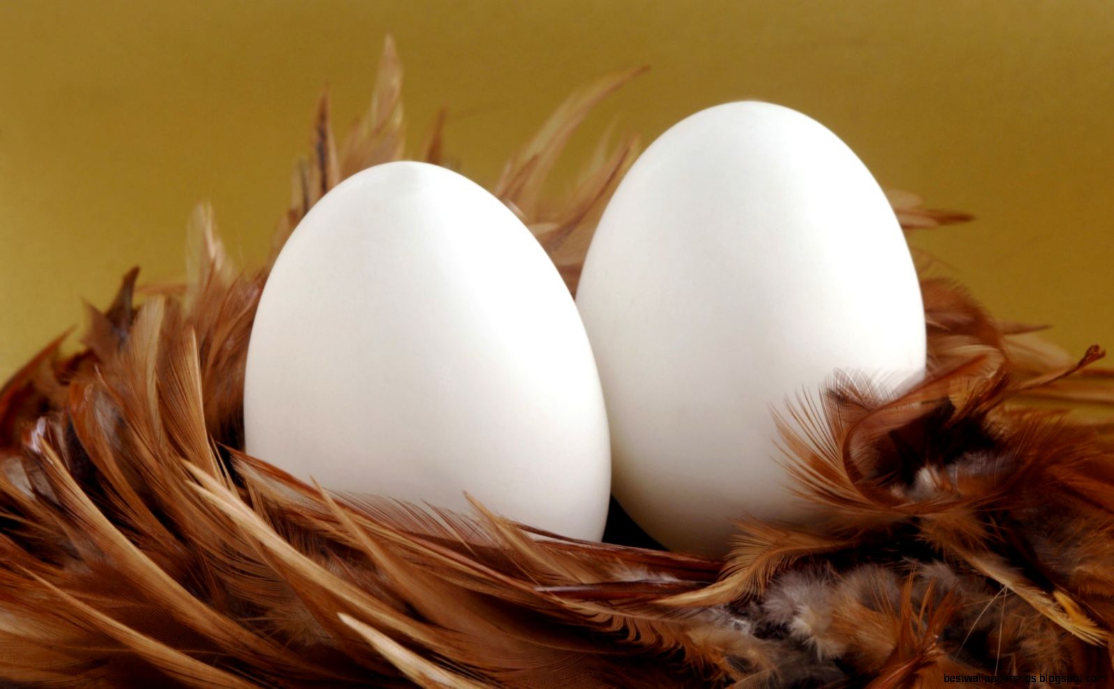 Eggs Feathers Easter 6934682 Eggs Feathers Easter 6934682