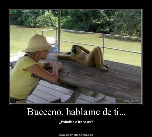 Imagen relacionada