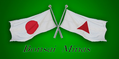 Bonsai Minas