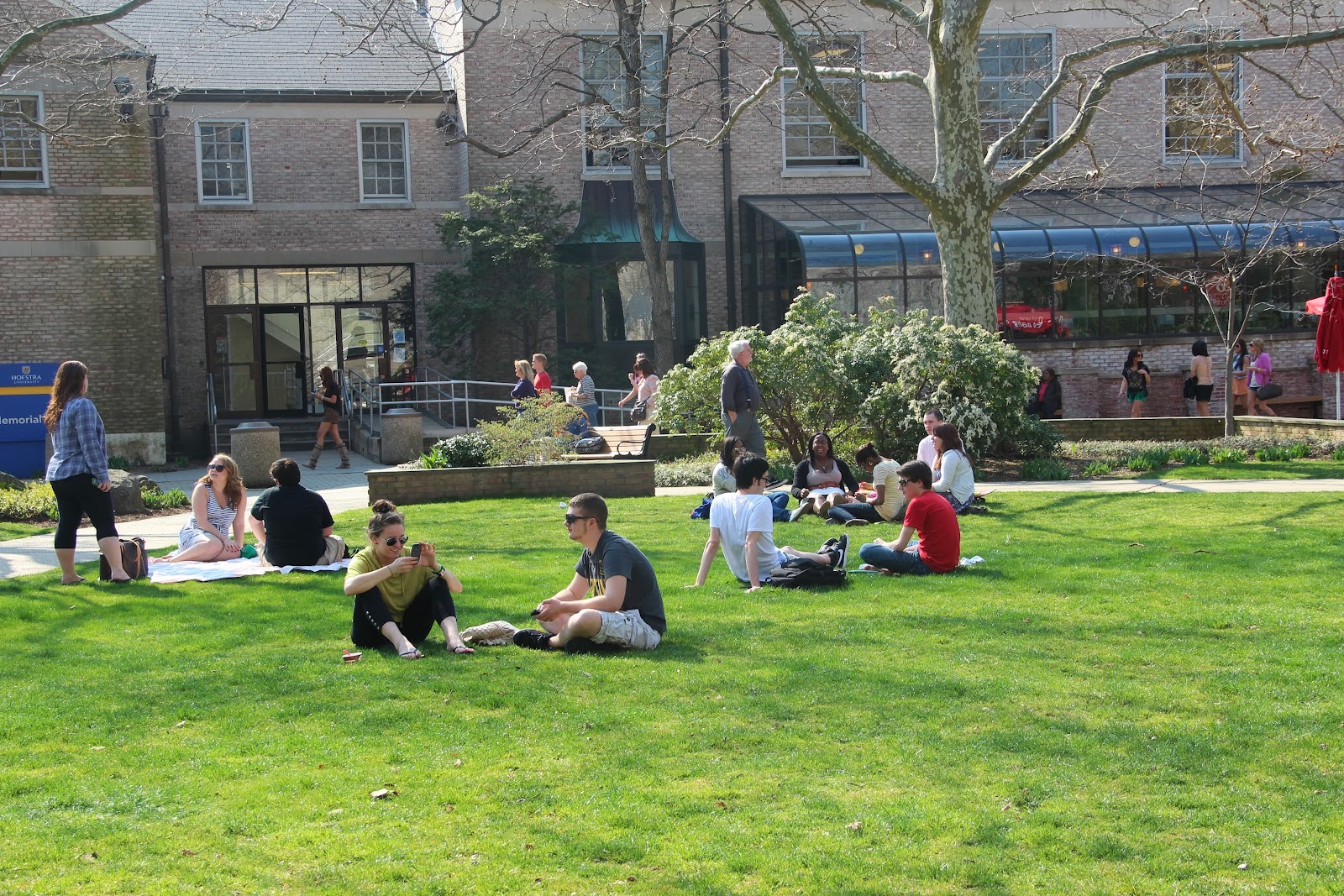 7 Hofstra University Buildings You Need to Know OneClass Blog