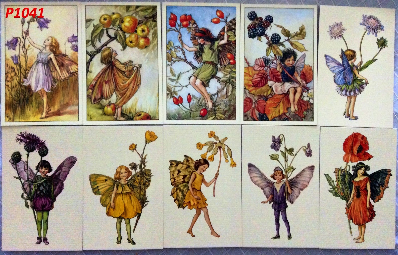 Used Books Corner Flower Fairy Postcards!