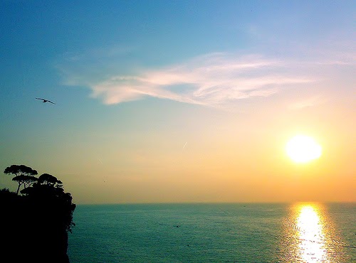 AMANAH NUSANTARA MANFAAT SINAR MATAHARI PAGI