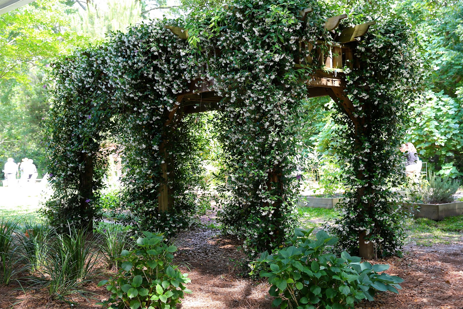 Sweet Southern Days Maclay Gardens Annual Tour of Gardens