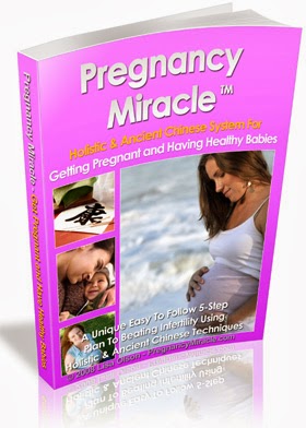 the pregnancy miracle book
