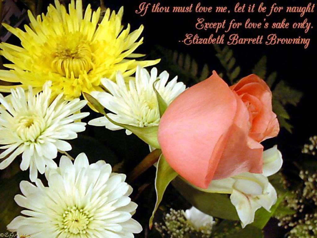 Sanjay Love Flowers quotes, Love Flowers greetings, Love Flowers Messages