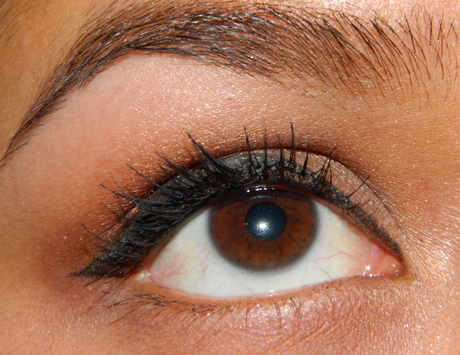 Blush Tree Beauty Tip 2 Emphasize the Eyes Using the Tightlining Method