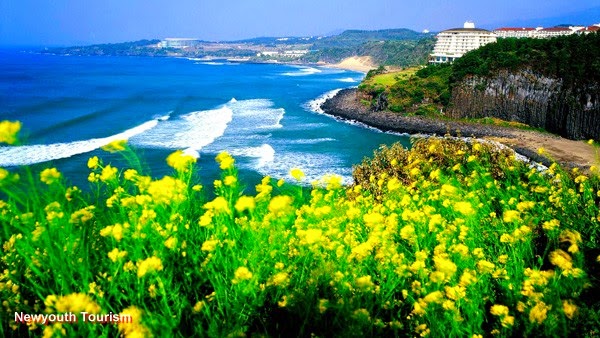 Những quốc gia và vùng lãnh thổ miễn visa cho người Việt Nam 3 Những quốc gia và vùng lãnh thổ miễn visa cho người Việt Nam 3