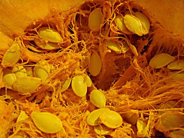 南瓜籽的營養成分非常高，除了著名的鋅含量外，也是很好的蛋白質和微量礦物質來源，並富含維生素E。