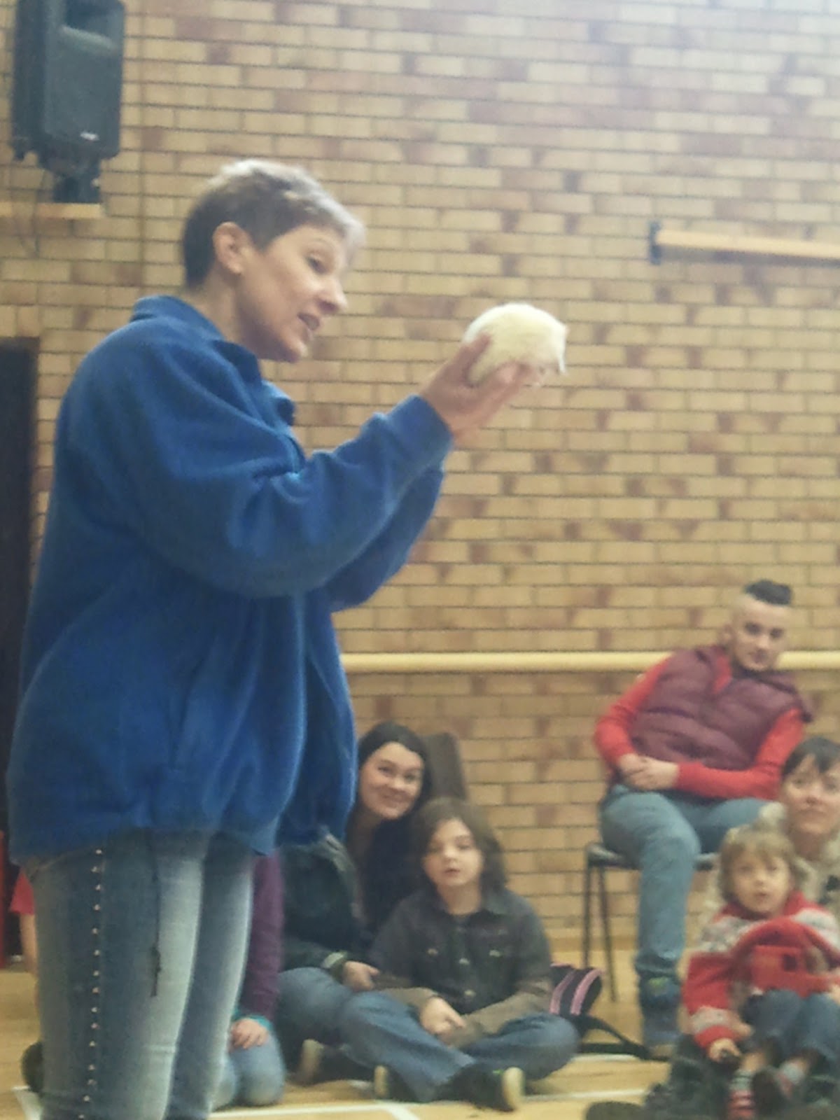 rencontre entre 2 chinchilla