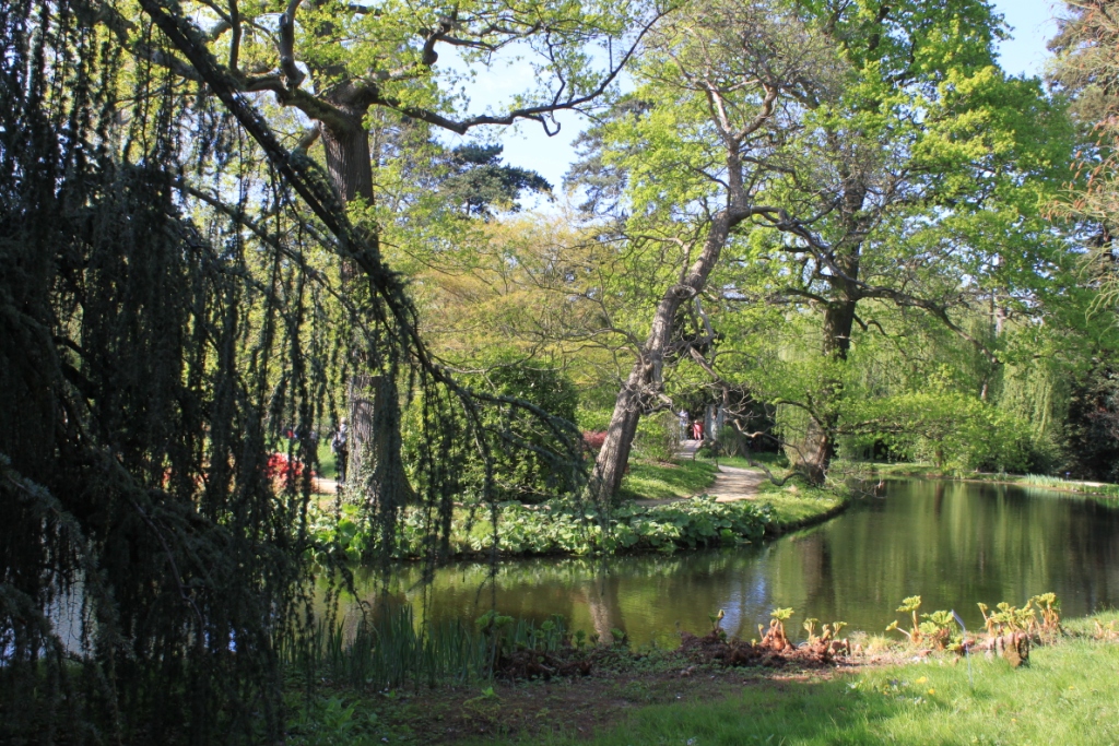 Arboretum de la Vallée aux Loups