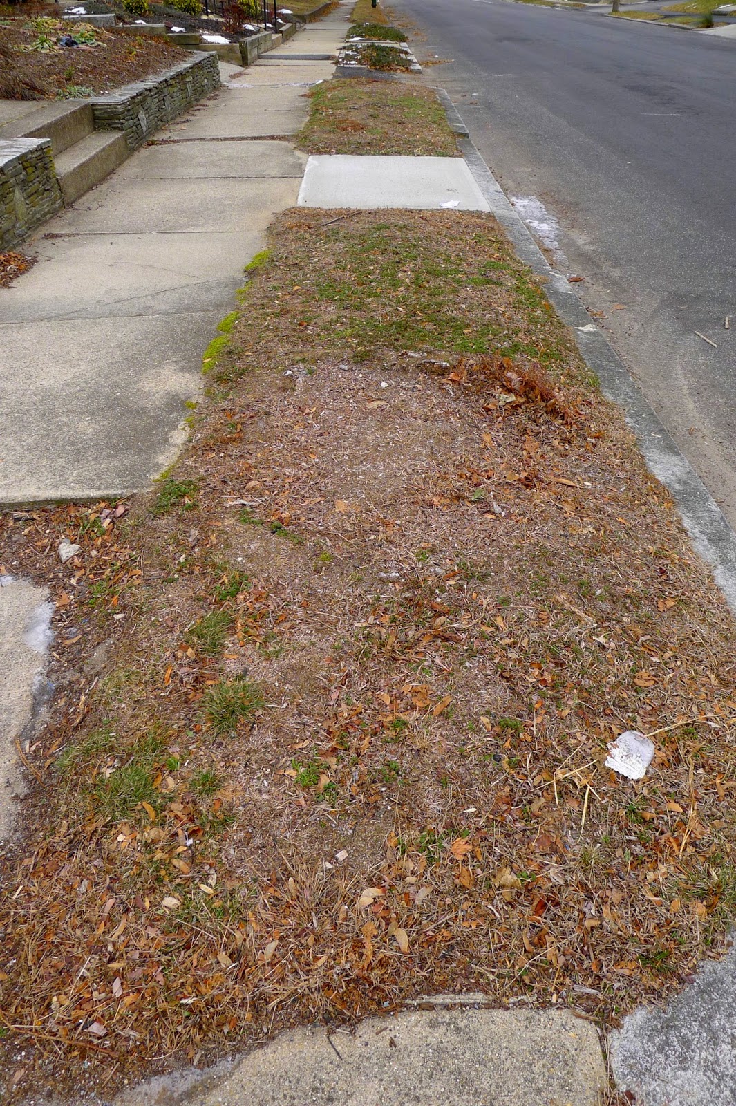 Less Noise, More Green: To hell and back - planning my curbside 'hell