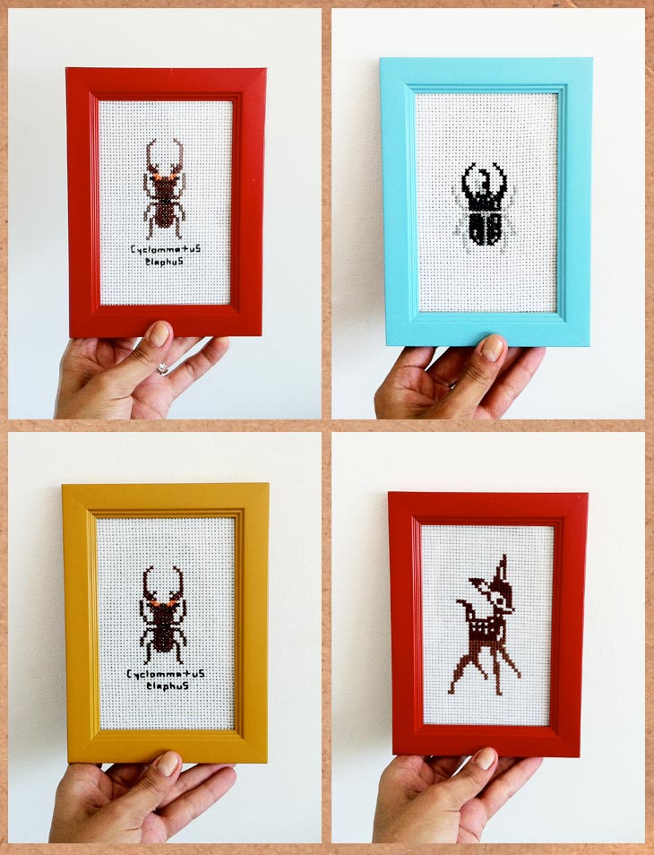 accesorios miau blogger