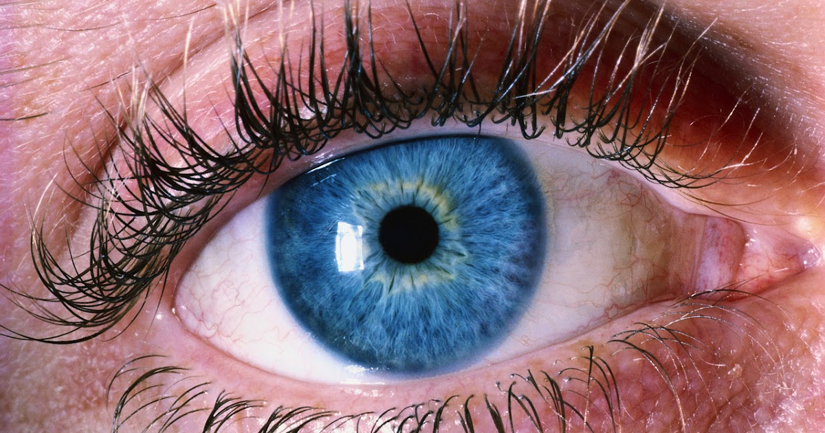 Optometrist in Vancouver See for Life Dr. Mini Randhawa