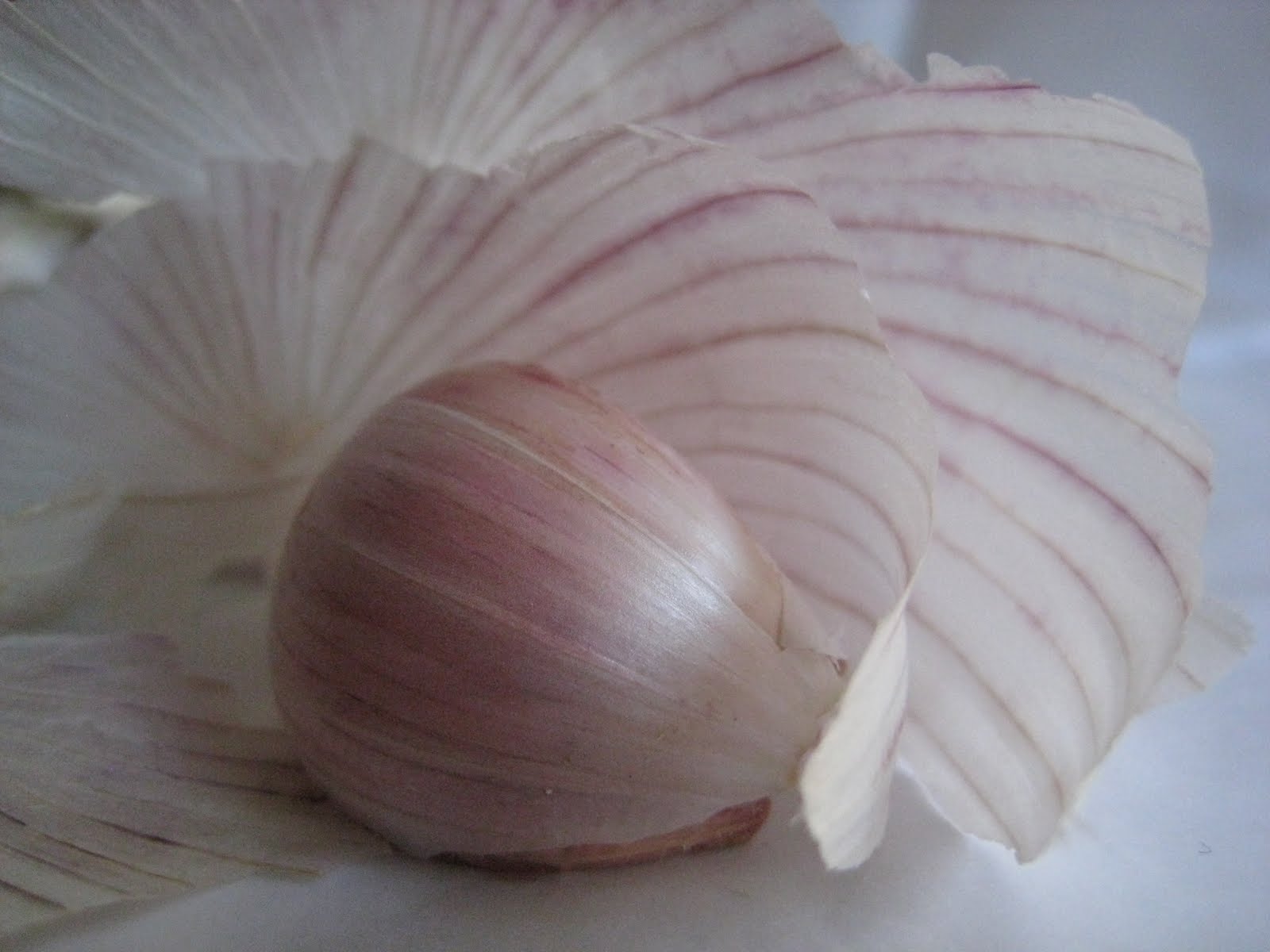 DES GOUTS ET DES COULEURS AIL & AULX