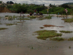 Tótoro  Currais Novos rn