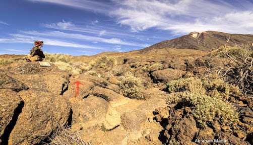 CONSERVEMOS NUESTRO PATRIMONIO NATURAL